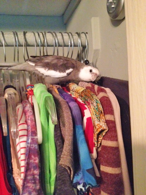 Mom, can you vouch for any of these beings or should I check them all?