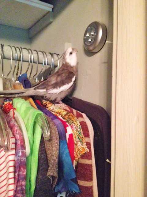 Wait a minute - what's this?