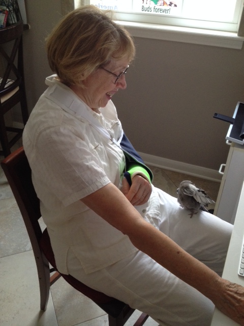 I'll just start preening to get her attention.