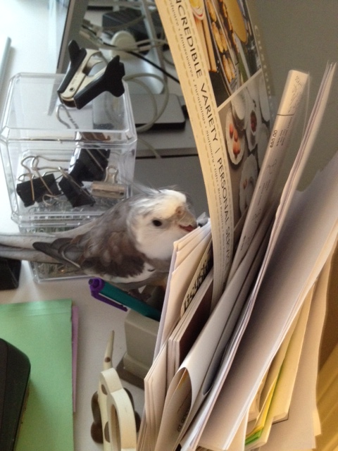 I'll bet there are some recipes hiding in here.