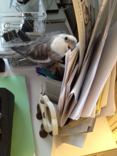 Any sous chef worth his title knows the best way to 