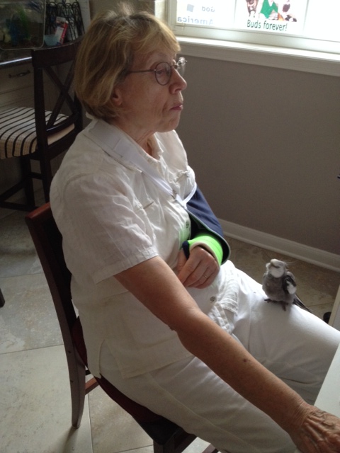 I can tell Grandma is searching for recipes.