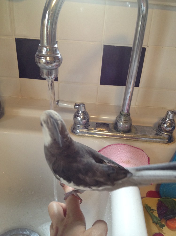 Moving into position....