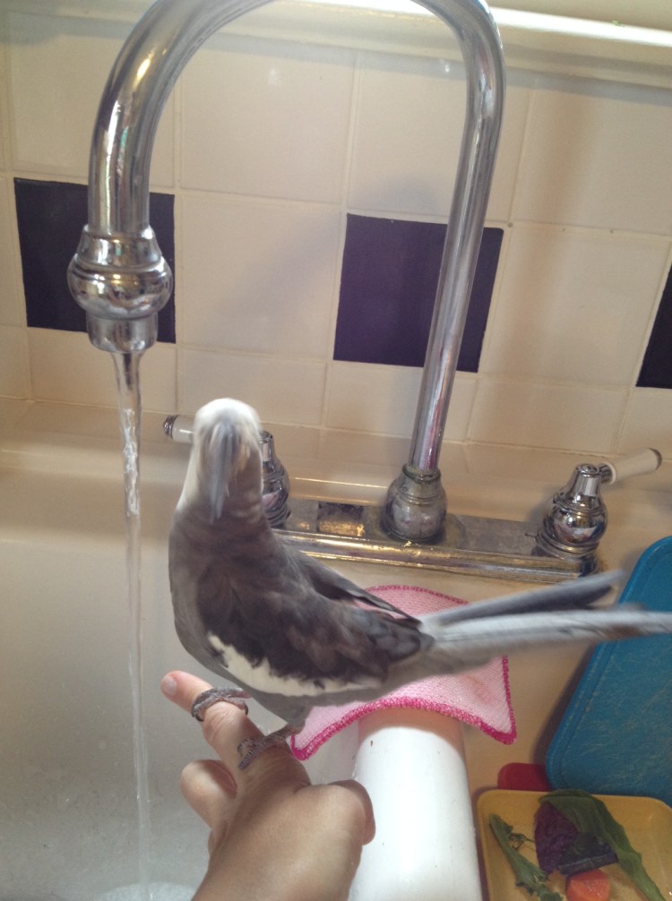 That's more like it.