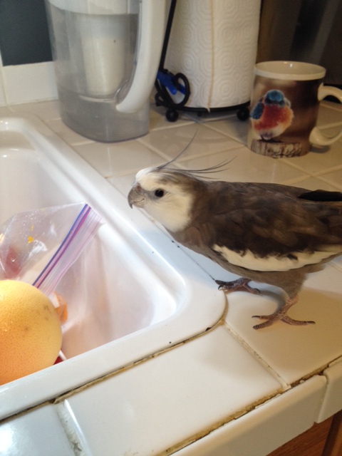 I'll just let Mom know I'm thirsty.