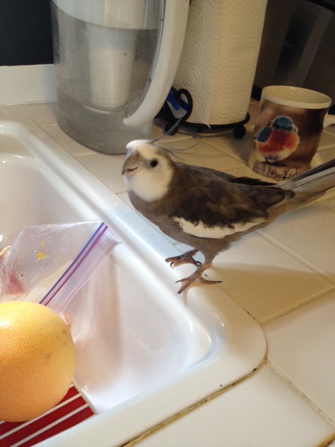 Mom? A little service here?