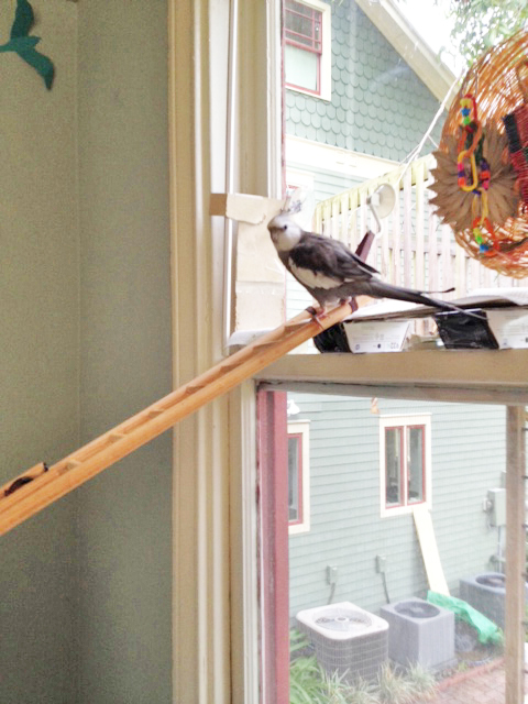 Oh my! Do I spy......?