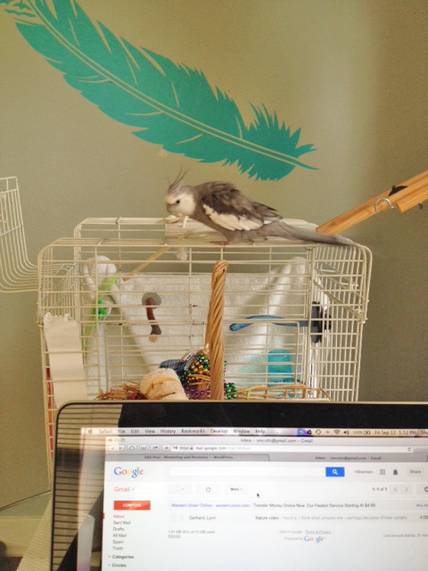 Wait for me, Mom! I'm coming!