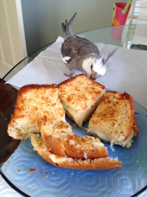 Ah, yes. Now here is a dish worth that arduous descent.