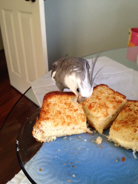 Don't at all mind if I do....