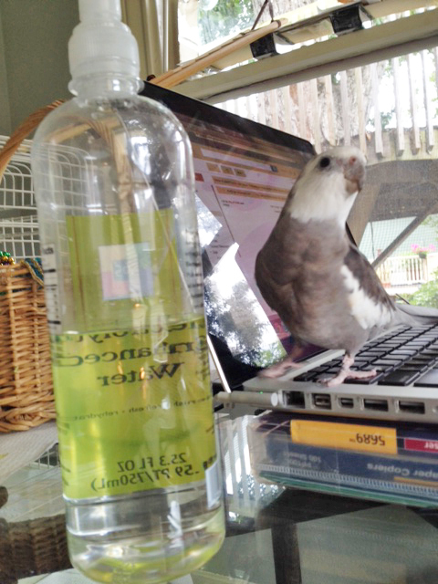 Hey, Mom, come meet my new friend. His name is "Water Bottle!"