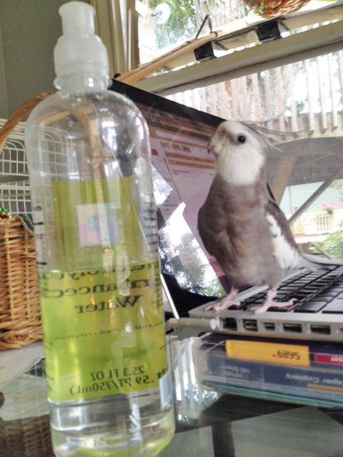 How kind of you to stop by and introduce yourself!