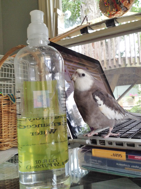 Well hello there! We haven't met yet, but you look very friendly!