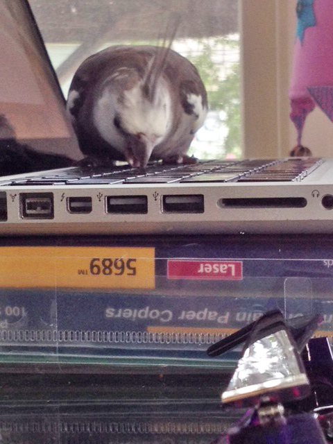 This is going to be fun!