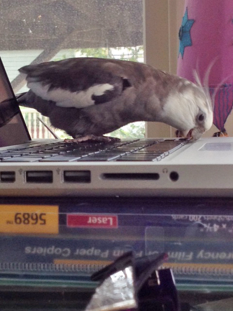 I haven't even started working on this row yet!