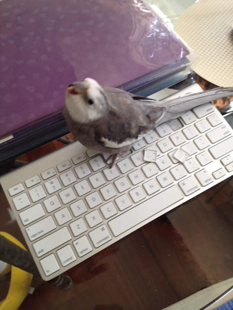 Yes, Mom, I AM irked. How can you tell?