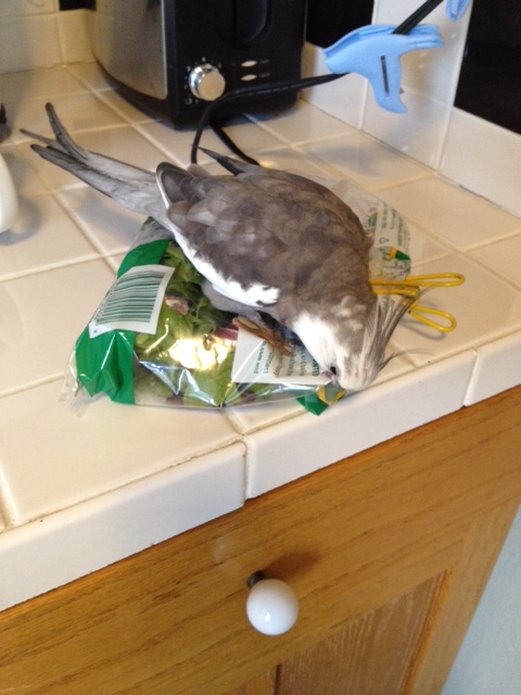 It will go easier for you if you don't struggle.