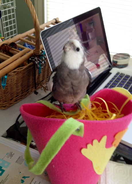 Can't host a VIP Nest Model shoot without the "Cuteness" pose! (This pose is how the ladybirds can visualize how cute the chicks will be).
