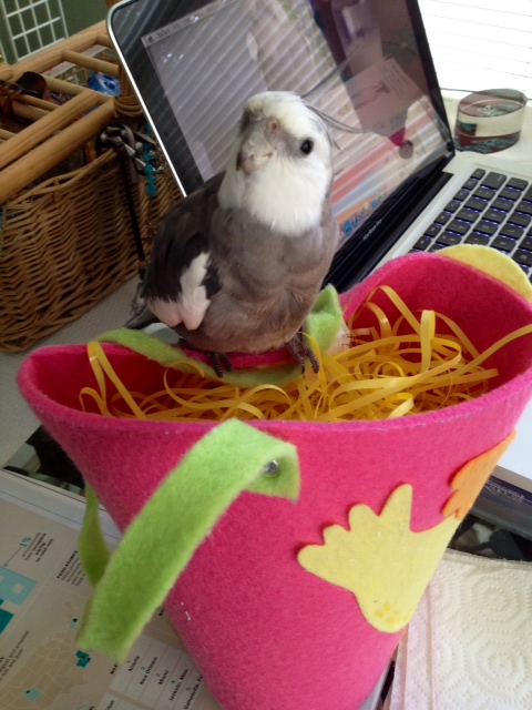 We'll kick off the evening with a classic - the "manly manbird" pose.