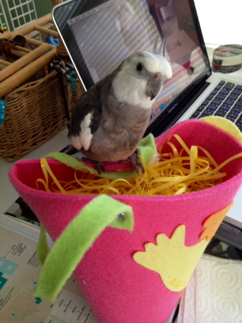 And now for the 'winner take all' pose - the "James Bond." (Here, notice how the model seamlessly incorporates some "acting" into his fashion shoot - ladybirds love famous actors).
