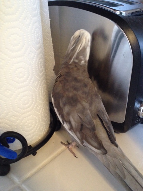 So how are things? Wanna swap "prettiness" tips? 