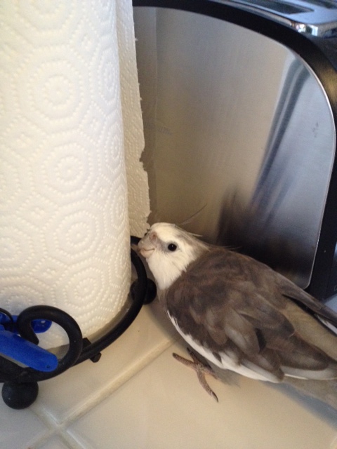 We can do this the easy way......