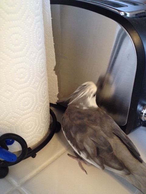 Well I'll be! It's great to see you! You look even prettier than the last time I saw you!