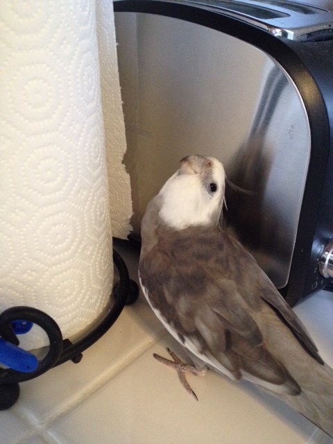 Ahem. Can't you see we're in the middle of a conversation?