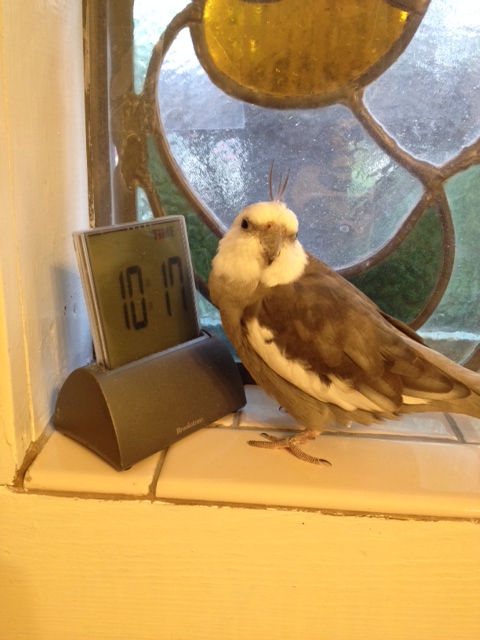 First, select a safe, secure, interior location of your home for the photo shoot.