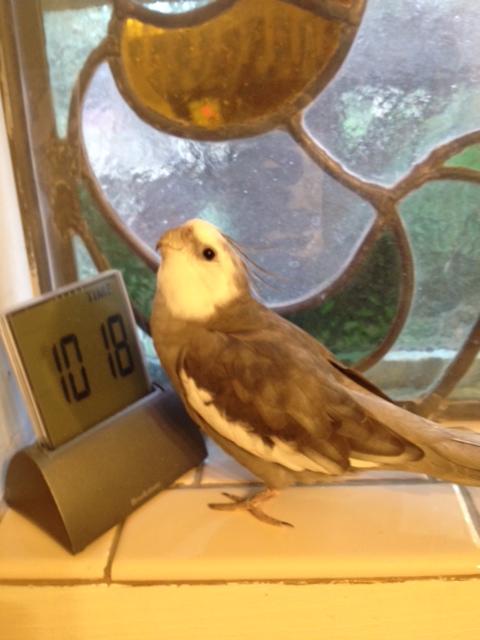 From here, you can strike a cute pose....