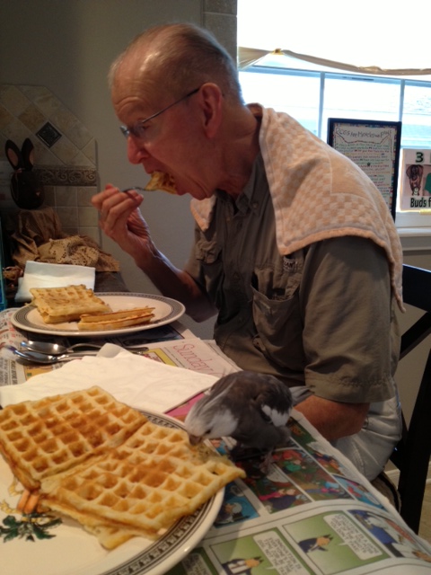 Pearl and the Tall Tree enjoy a delicious waffle brunch.