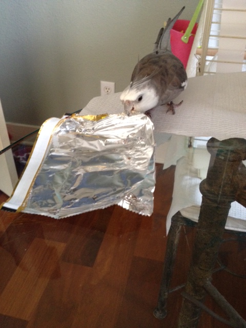 Here, let me demonstrate.