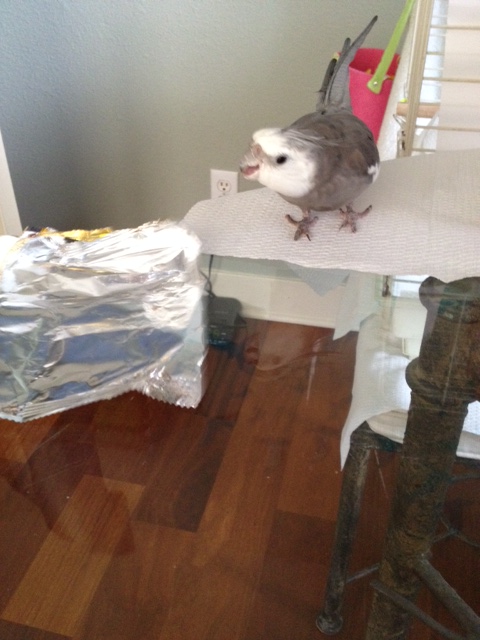 Fess up. You know you didn't knock.