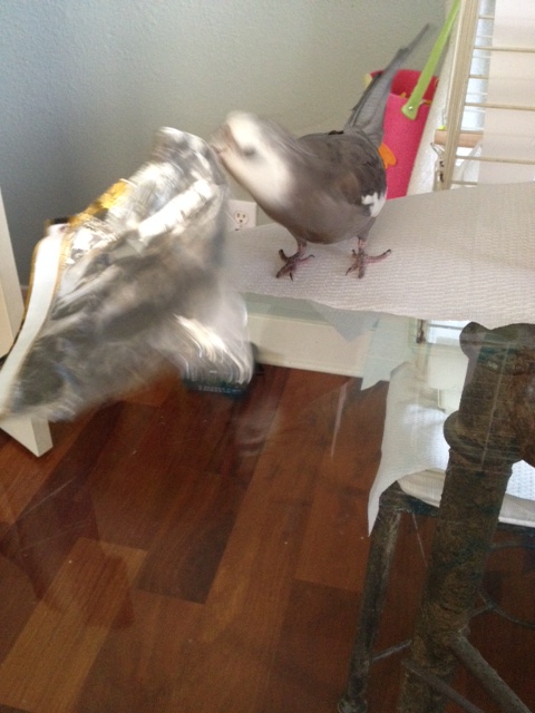 I call this maneuver "Go ahead and make my day."