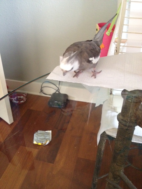 And don't come back until you knock first!