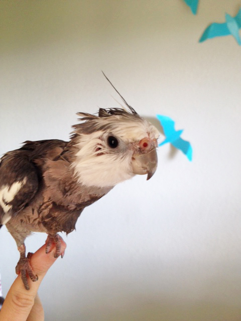 The "face" of a successful fashion line must always be accessible to his fans.