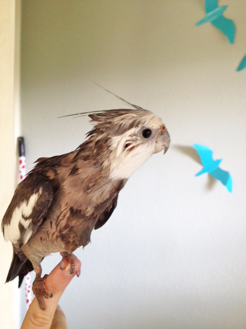 As role model to the masses, CEO, and principle fashion model, his work is never done.