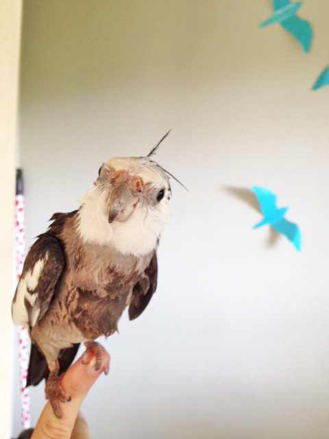 The CEO loves to remind fans that "prettiness and cuteness lies within" (if it happens to lie without too, even better!)