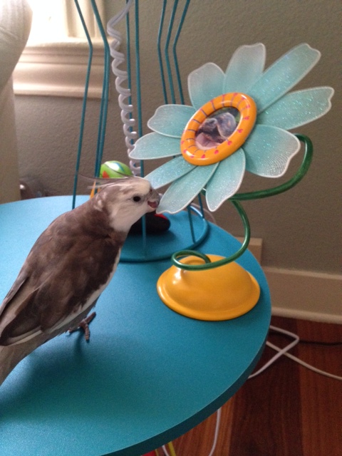 What is most important is to send a strong, clear message to the rival.