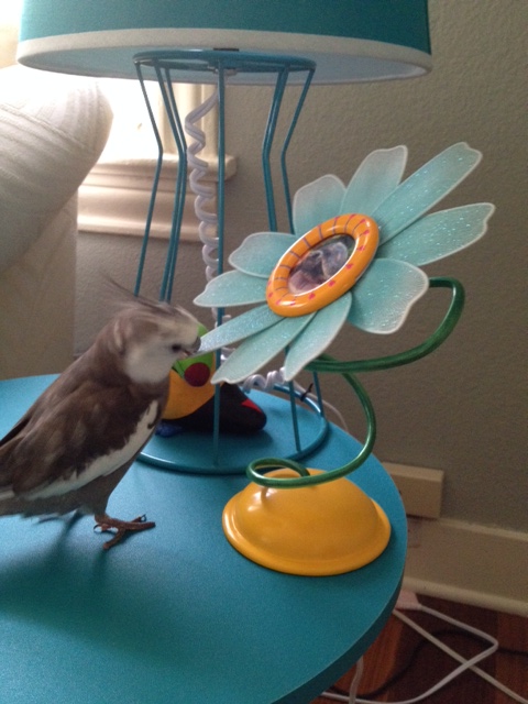 I knew something around here needed "trouncing." 