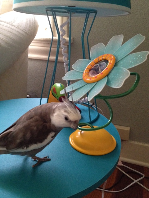 I am sensing the subtle vibes of "trouncing." Where could it be coming from...?