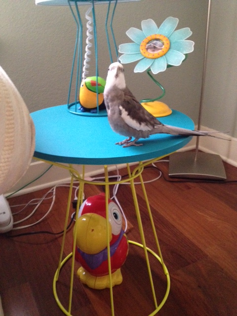 Oh good! I will look even prettier in this shoot in contrast with them!