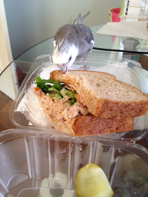 Okay, I'll just take a tiny nibble.