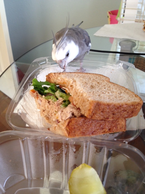 This doesn't look OR smell like "waffles."