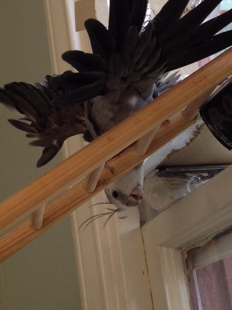 And perhaps just a bit more balance.