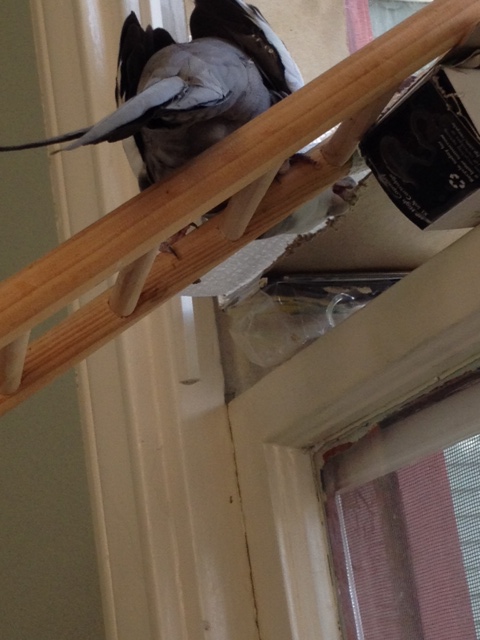 I'll just take a little off here....