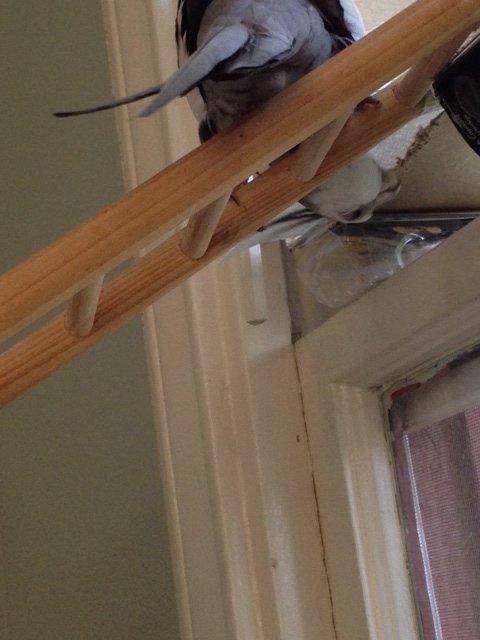 And do a little more sculpting over here...