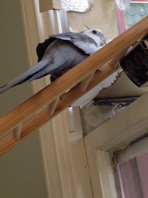 I am sensing the need to create challenging art.