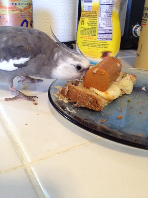 In fact, this dish would be even tastier without the "soy dog."