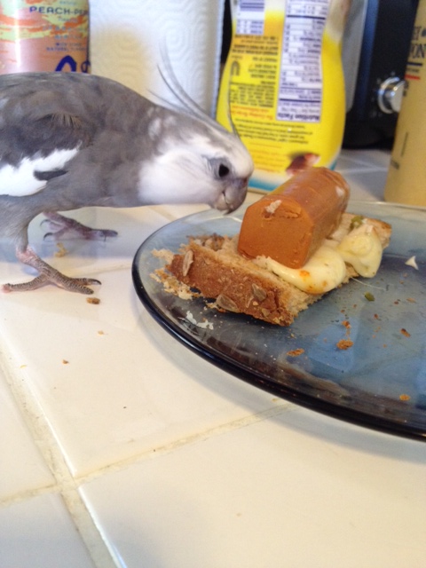 Oh good! A classic. Even Mom can make this dish taste good.